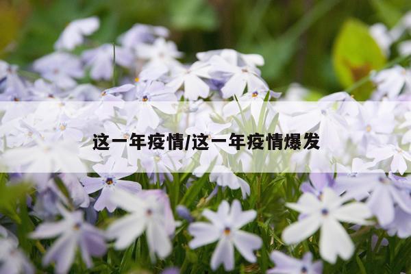 这一年疫情/这一年疫情爆发