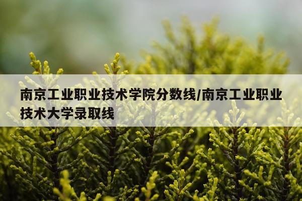 南京工业职业技术学院分数线/南京工业职业技术大学录取线