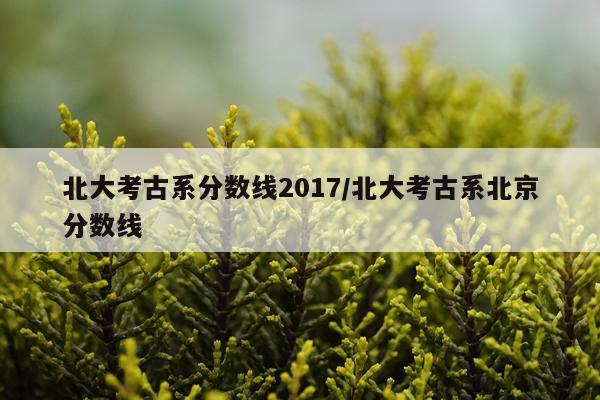 北大考古系分数线2017/北大考古系北京分数线