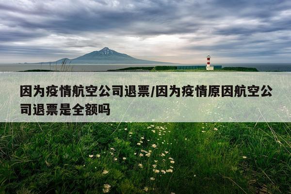 因为疫情航空公司退票/因为疫情原因航空公司退票是全额吗