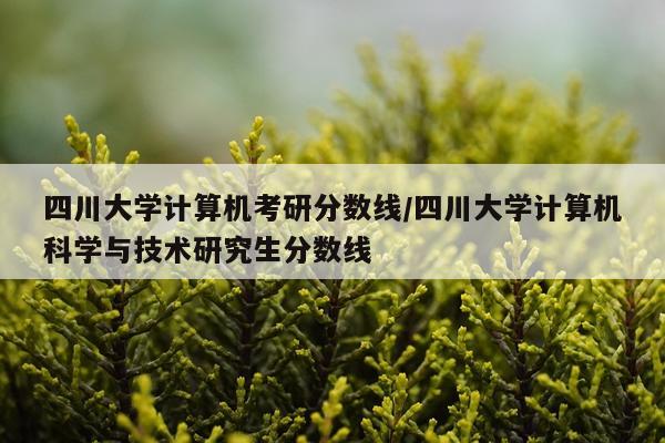 四川大学计算机考研分数线/四川大学计算机科学与技术研究生分数线