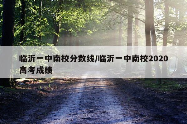 临沂一中南校分数线/临沂一中南校2020高考成绩
