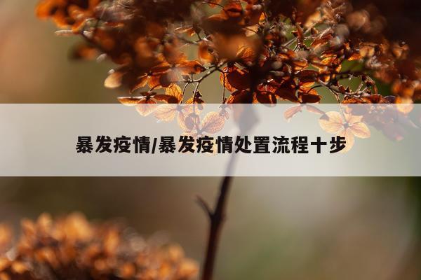 暴发疫情/暴发疫情处置流程十步