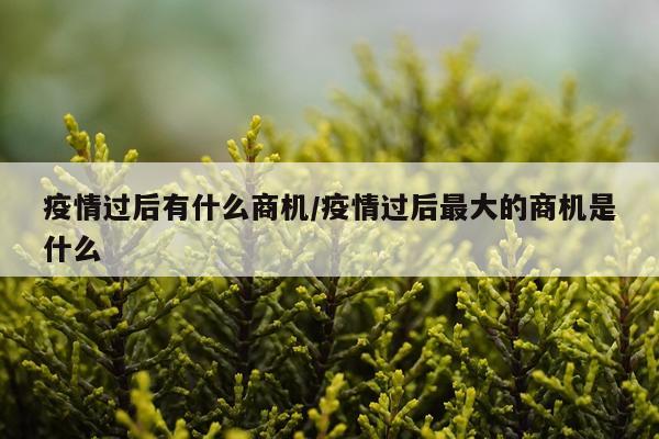 疫情过后有什么商机/疫情过后最大的商机是什么