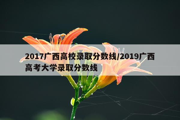 2017广西高校录取分数线/2019广西高考大学录取分数线