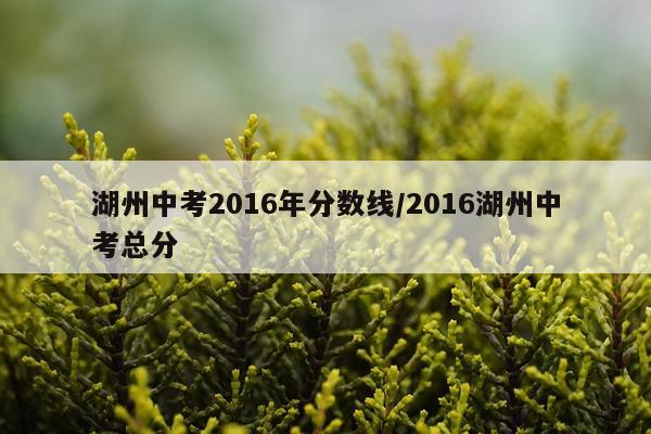 湖州中考2016年分数线/2016湖州中考总分