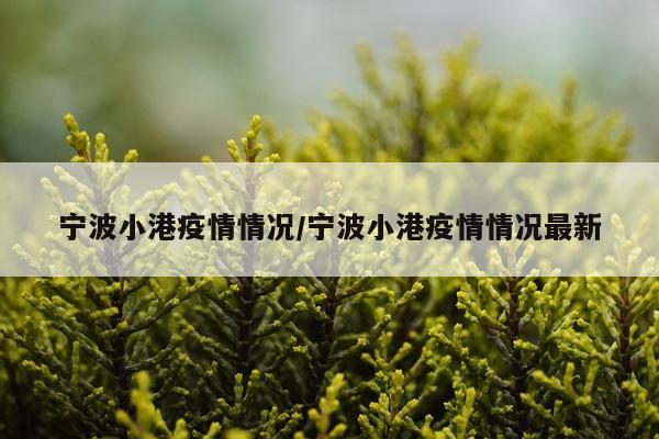 宁波小港疫情情况/宁波小港疫情情况最新