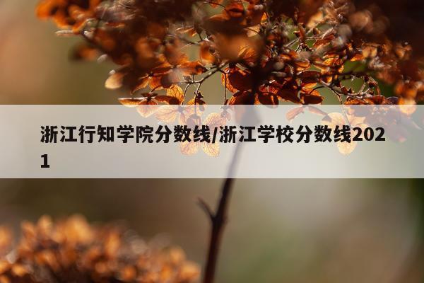 浙江行知学院分数线/浙江学校分数线2021