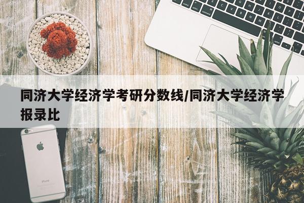 同济大学经济学考研分数线/同济大学经济学报录比