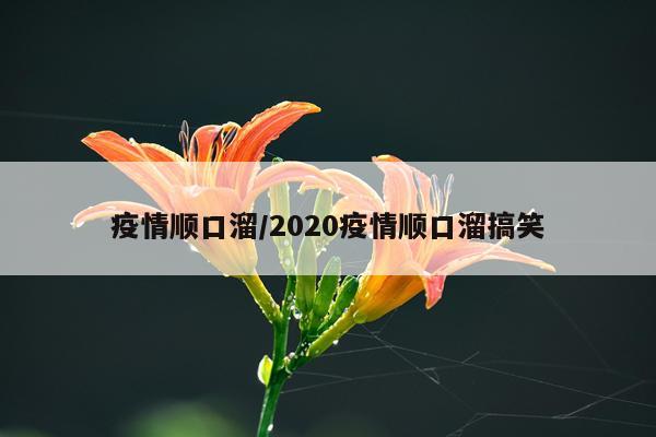 疫情顺口溜/2020疫情顺口溜搞笑