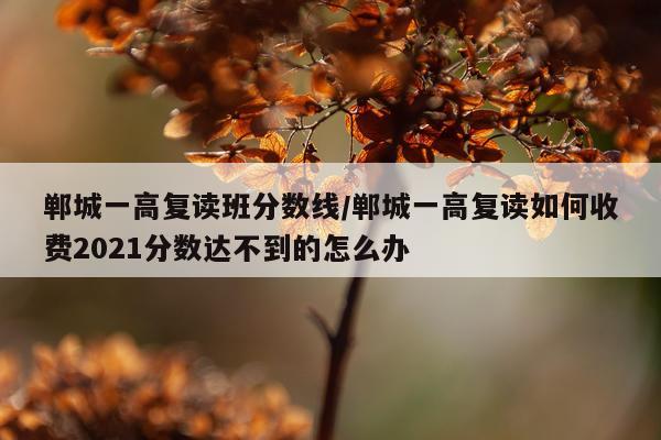 郸城一高复读班分数线/郸城一高复读如何收费2021分数达不到的怎么办