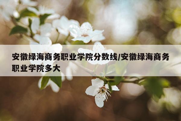 安徽绿海商务职业学院分数线/安徽绿海商务职业学院多大