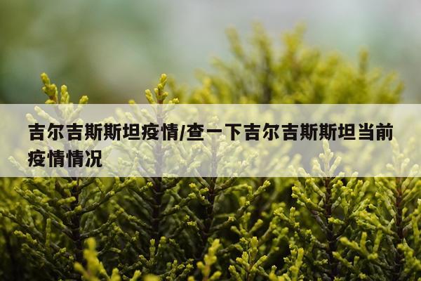 吉尔吉斯斯坦疫情/查一下吉尔吉斯斯坦当前疫情情况