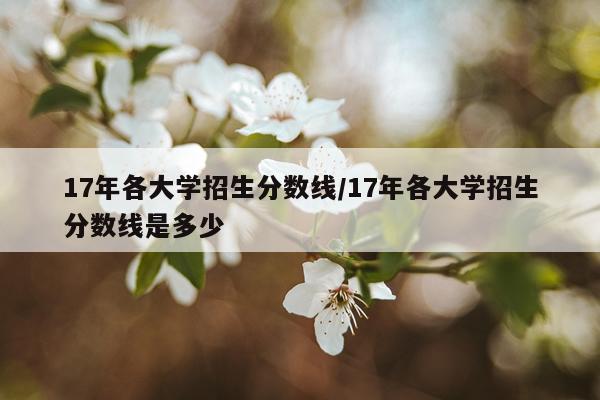 17年各大学招生分数线/17年各大学招生分数线是多少