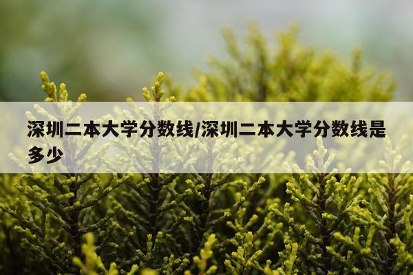 深圳二本大学分数线/深圳二本大学分数线是多少