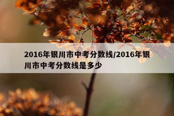2016年银川市中考分数线/2016年银川市中考分数线是多少