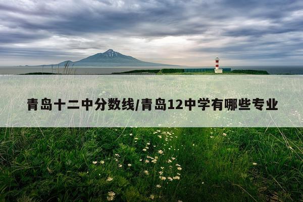 青岛十二中分数线/青岛12中学有哪些专业