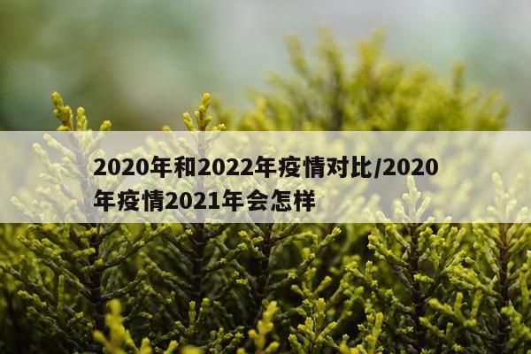 2020年和2022年疫情对比/2020年疫情2021年会怎样