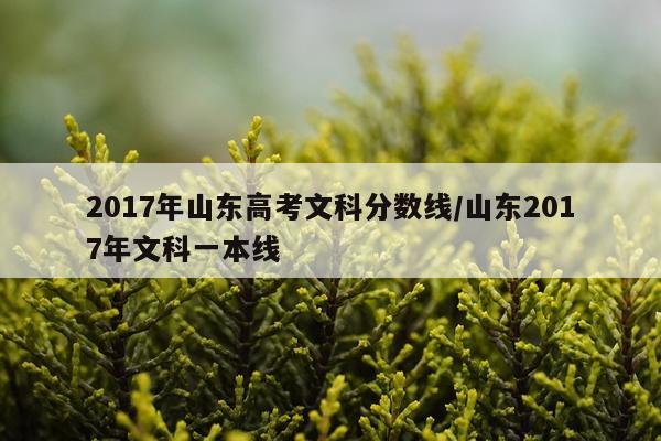 2017年山东高考文科分数线/山东2017年文科一本线