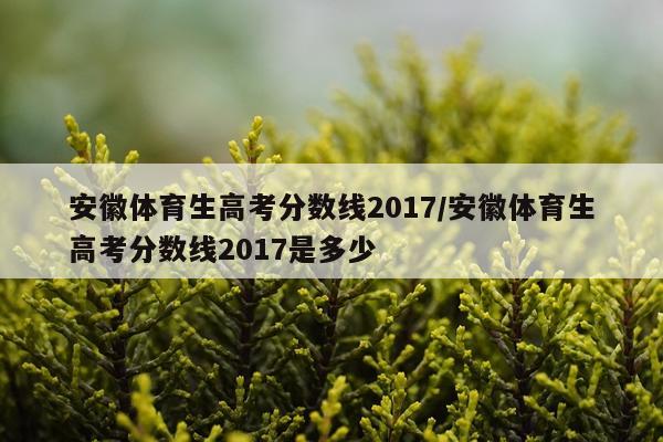 安徽体育生高考分数线2017/安徽体育生高考分数线2017是多少
