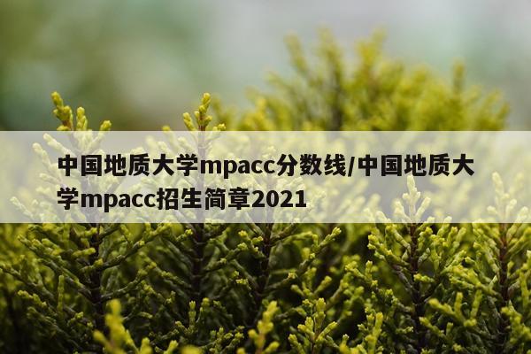 中国地质大学mpacc分数线/中国地质大学mpacc招生简章2021