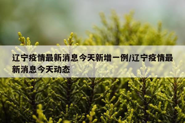 辽宁疫情最新消息今天新增一例/辽宁疫情最新消息今天动态