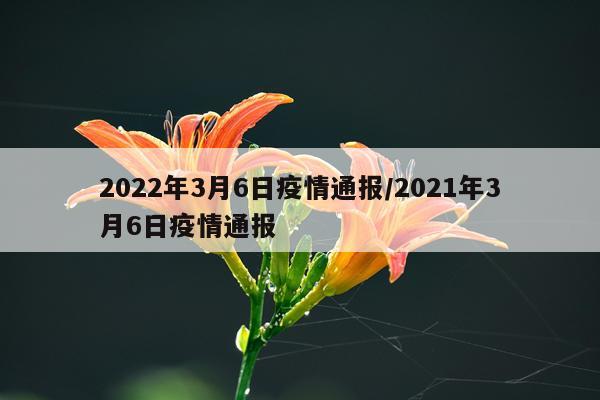 2022年3月6日疫情通报/2021年3月6日疫情通报