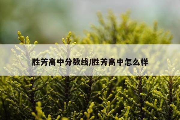 胜芳高中分数线/胜芳高中怎么样
