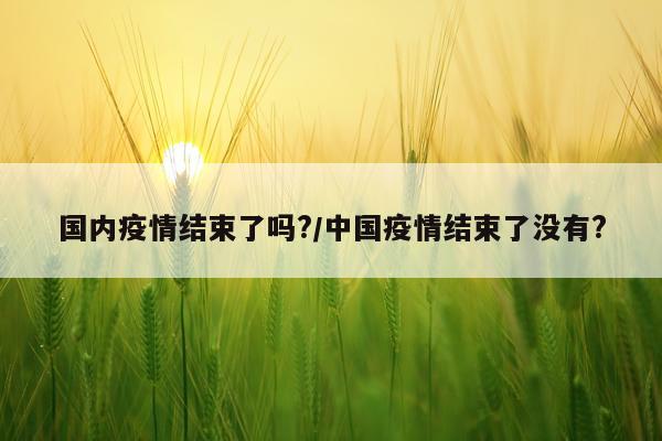 国内疫情结束了吗?/中国疫情结束了没有?