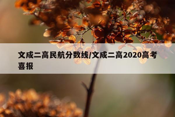 文成二高民航分数线/文成二高2020高考喜报