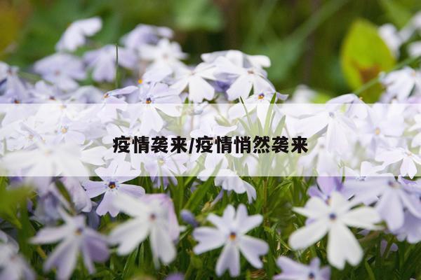 疫情袭来/疫情悄然袭来