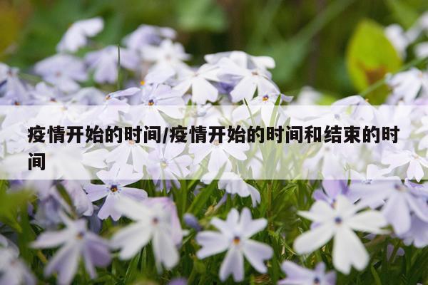 疫情开始的时间/疫情开始的时间和结束的时间