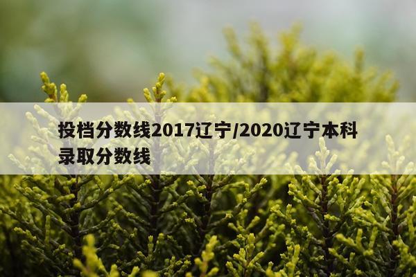 投档分数线2017辽宁/2020辽宁本科录取分数线