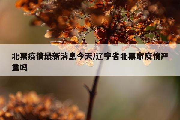 北票疫情最新消息今天/辽宁省北票市疫情严重吗