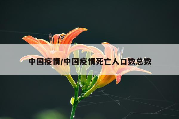 中国疫情/中国疫情死亡人口数总数