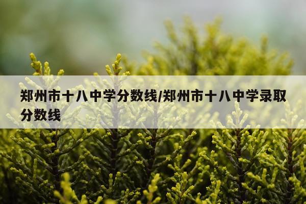 郑州市十八中学分数线/郑州市十八中学录取分数线