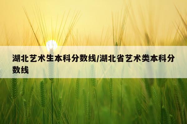 湖北艺术生本科分数线/湖北省艺术类本科分数线