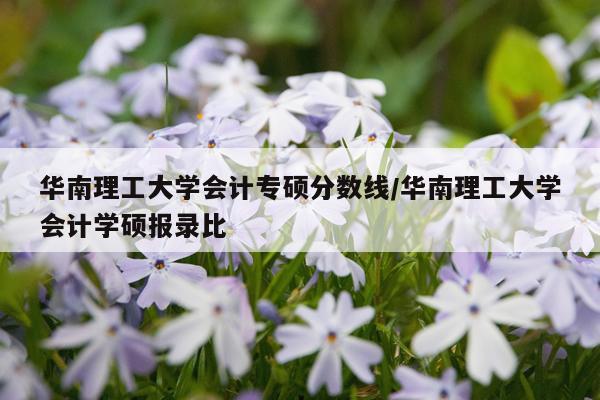 华南理工大学会计专硕分数线/华南理工大学会计学硕报录比