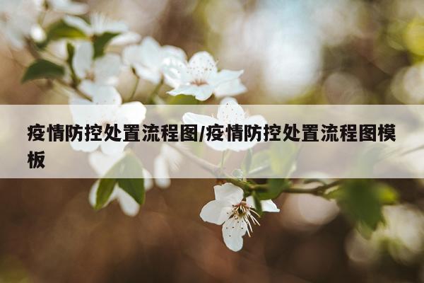 疫情防控处置流程图/疫情防控处置流程图模板
