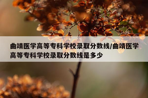 曲靖医学高等专科学校录取分数线/曲靖医学高等专科学校录取分数线是多少