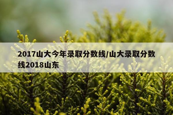 2017山大今年录取分数线/山大录取分数线2018山东