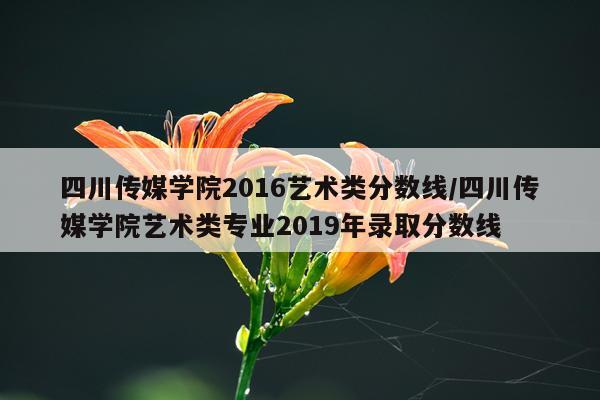 四川传媒学院2016艺术类分数线/四川传媒学院艺术类专业2019年录取分数线
