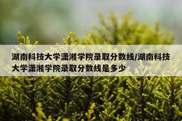 湖南科技大学潇湘学院录取分数线/湖南科技大学潇湘学院录取分数线是多少