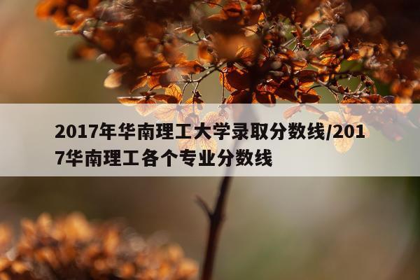 2017年华南理工大学录取分数线/2017华南理工各个专业分数线