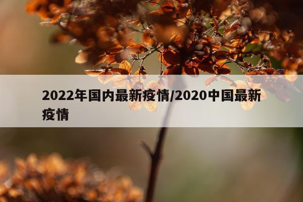 2022年国内最新疫情/2020中国最新疫情