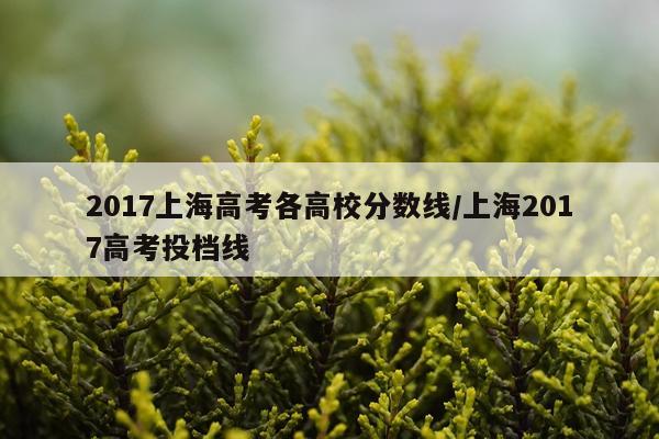 2017上海高考各高校分数线/上海2017高考投档线