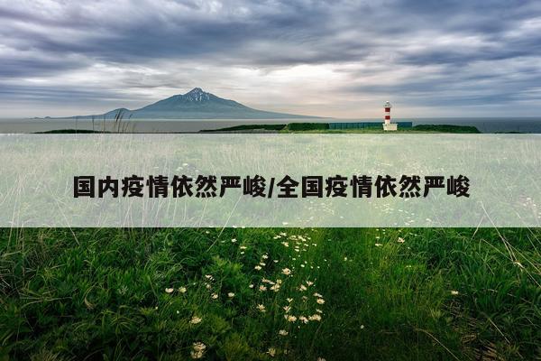 国内疫情依然严峻/全国疫情依然严峻