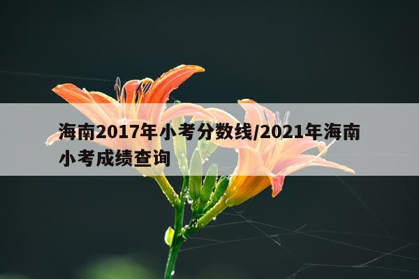 海南2017年小考分数线/2021年海南小考成绩查询