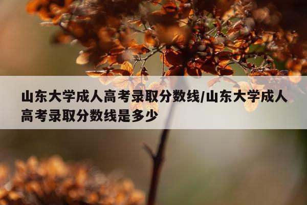 山东大学成人高考录取分数线/山东大学成人高考录取分数线是多少