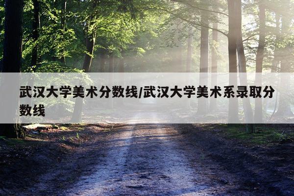 武汉大学美术分数线/武汉大学美术系录取分数线